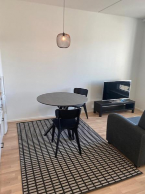 Kaksio Kirstinpuistossa Turku